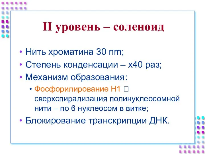 II уровень – соленоид Нить хроматина 30 nm; Степень конденсации – x40