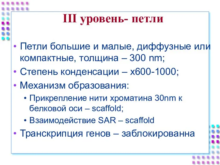 III уровень- петли Петли большие и малые, диффузные или компактные, толщина –