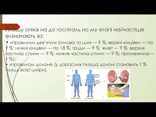 Площу опіків на до госпіталь но му етапі найчастіше визначають за: •