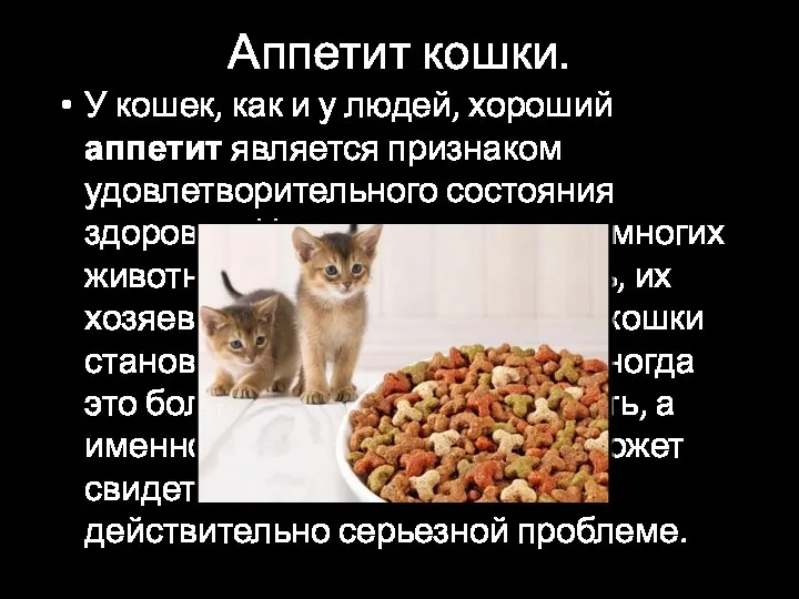 Аппетит кошки. У кошек, как и у людей, хороший аппетит является признаком