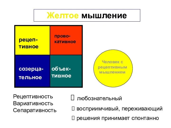 Желтое мышление любознательный восприимчивый, переживающий решения принимает спонтанно Рецептивность Вариативность Сепаративность