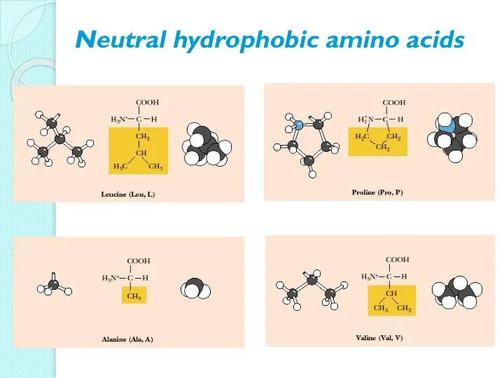 Neutral hydrophobic amino acids