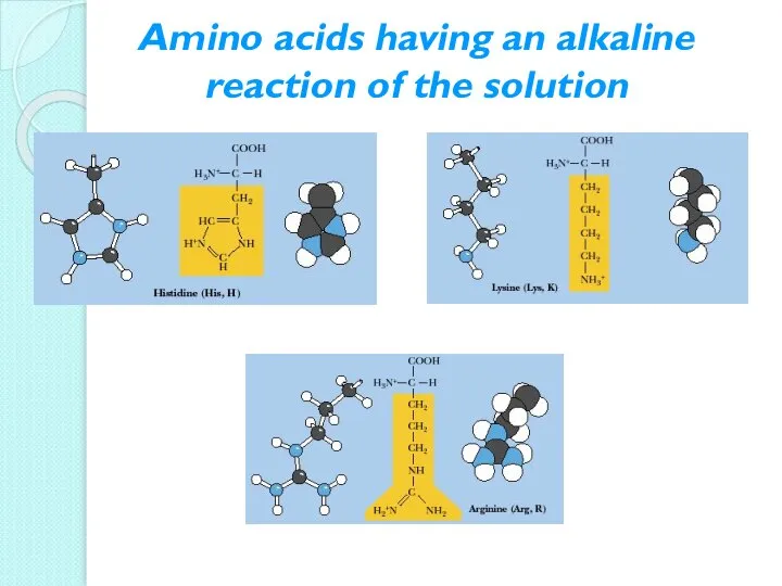 Amino acids having an alkaline reaction of the solution