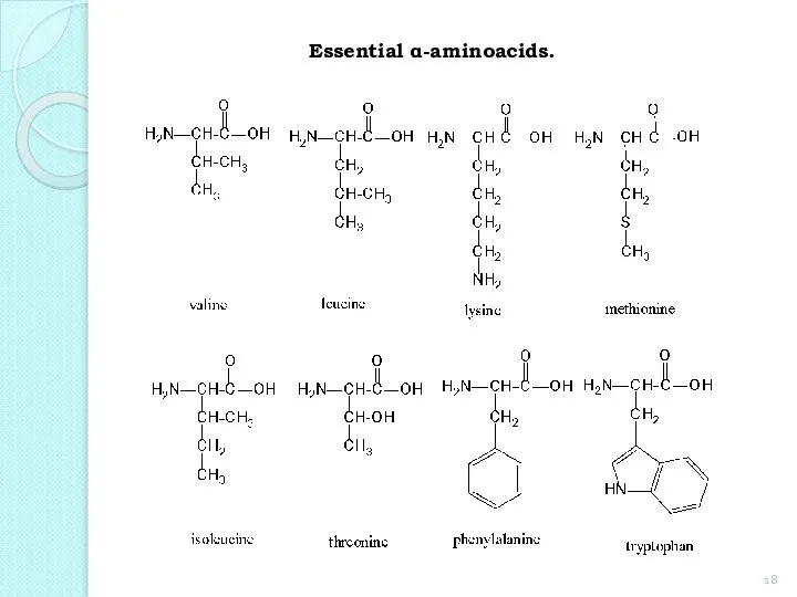 Essential α-aminoacids.