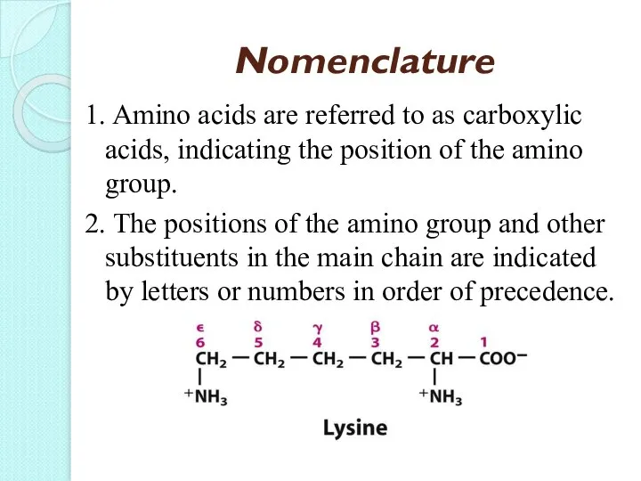 Nomenclature 1. Amino acids are referred to as carboxylic acids, indicating the