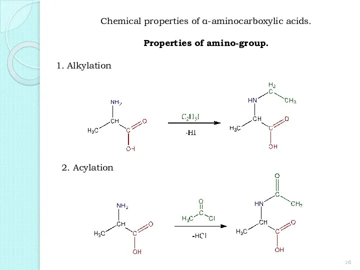 1. Alkylation 2. Acylation Chemical properties of α-aminocarboxylic acids. Properties of amino-group.