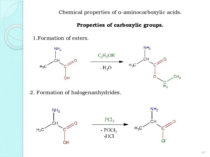 1.Formation of esters. 2. Formation of halogenanhydrides. Chemical properties of α-aminocarboxylic acids. Properties of carboxylic groups.