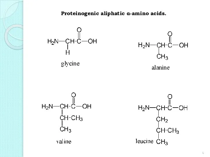 Proteinogenic aliphatic α-amino acids.