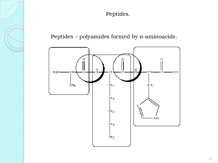 Peptides. Peptides – polyamides formed by α-aminoacids.