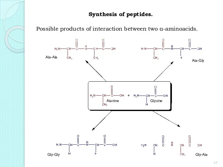 Synthesis of peptides. Possible products of interaction between two α-aminoacids. Alanine Glycine Ala-Ala Ala-Gly Gly-Gly Gly-Ala