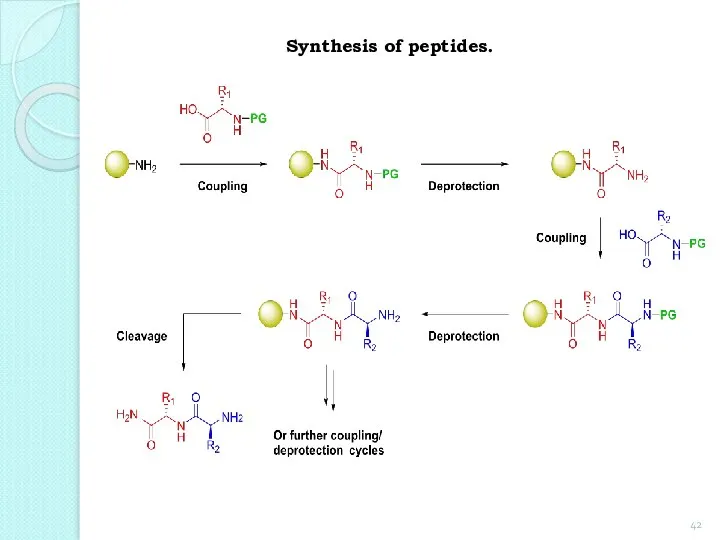 Synthesis of peptides.