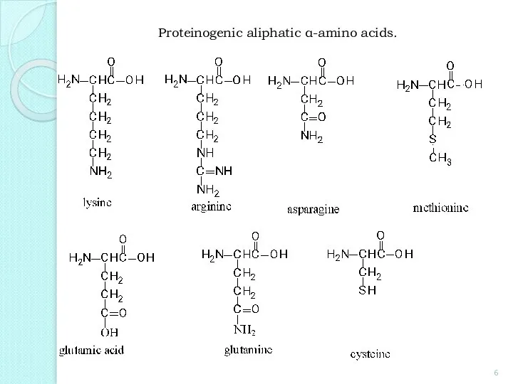 Proteinogenic aliphatic α-amino acids.