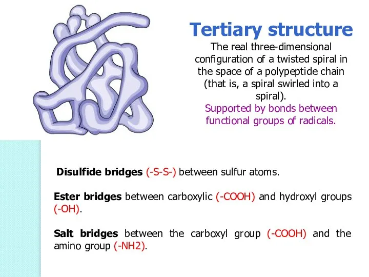 Tertiary structure The real three-dimensional configuration of a twisted spiral in the