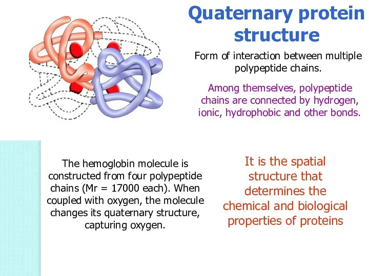 Quaternary protein structure Form of interaction between multiple polypeptide chains. Among themselves,