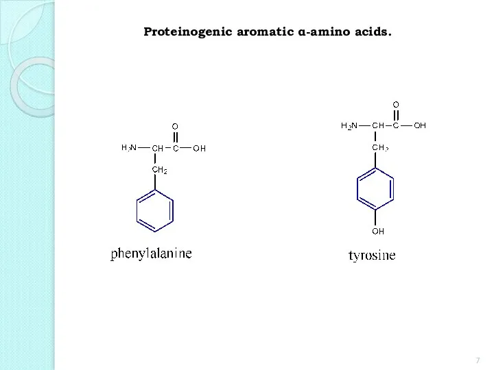 Proteinogenic aromatic α-amino acids.