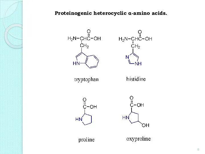 Proteinogenic heterocyclic α-amino acids.