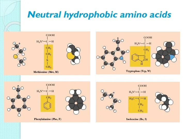 Neutral hydrophobic amino acids