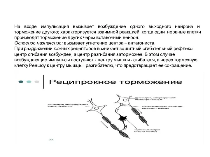 На входе импульсация вызывает возбуждение одного выходного нейрона и торможение другого; характеризуется