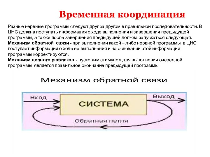 Временная координация Разные нервные программы следуют друг за другом в правильной последовательности.