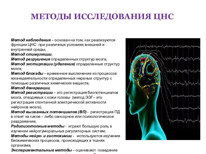 МЕТОДЫ ИССЛЕДОВАНИЯ ЦНС Метод наблюдения – основан на том, как реализуются функции