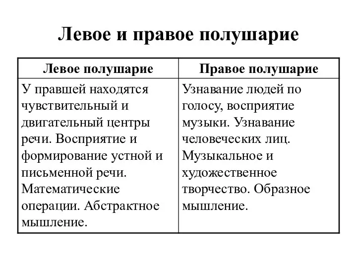 Левое и правое полушарие