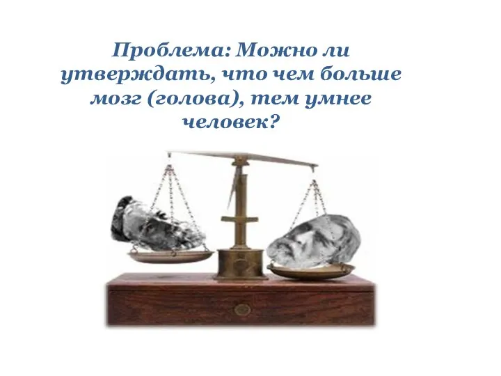 Проблема: Можно ли утверждать, что чем больше мозг (голова), тем умнее человек?