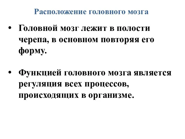 Расположение головного мозга Головной мозг лежит в полости черепа, в основном повторяя