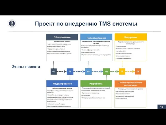 Проект по внедрению TMS системы Этапы проекта