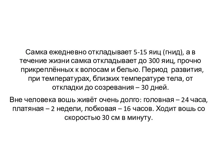 Самка ежедневно откладывает 5-15 яиц (гнид), а в течение жизни самка откладывает