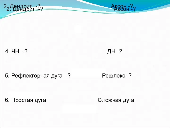 2. Дендрит -? Аксон -? 6. Простая дуга Сложная дуга 4. ЧН