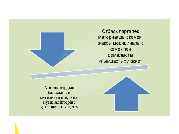 Отбасыларға тек материалдық көмек, жақсы медициналық көмек пен демалысты ұйымдастыру қажет Ата-аналардың