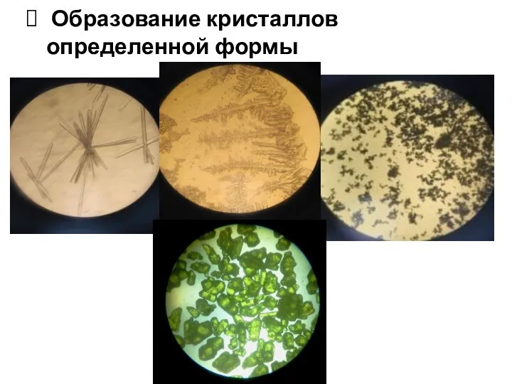 Образование кристаллов определенной формы