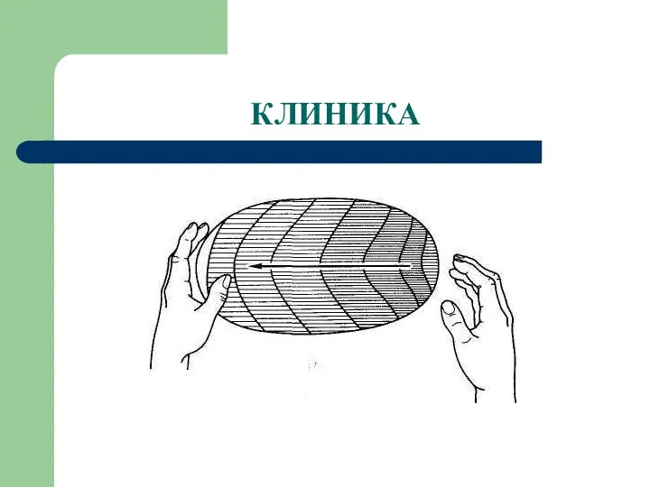 КЛИНИКА