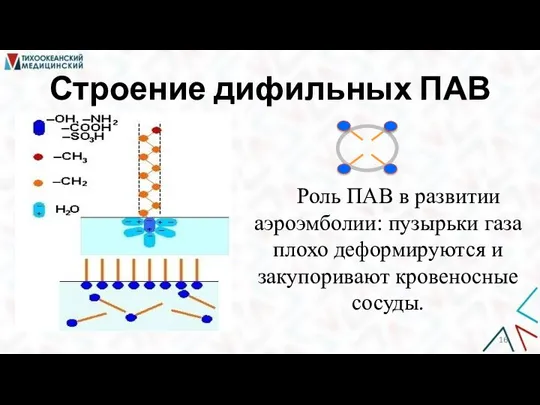 Строение дифильных ПАВ Роль ПАВ в развитии аэроэмболии: пузырьки газа плохо деформируются и закупоривают кровеносные сосуды.