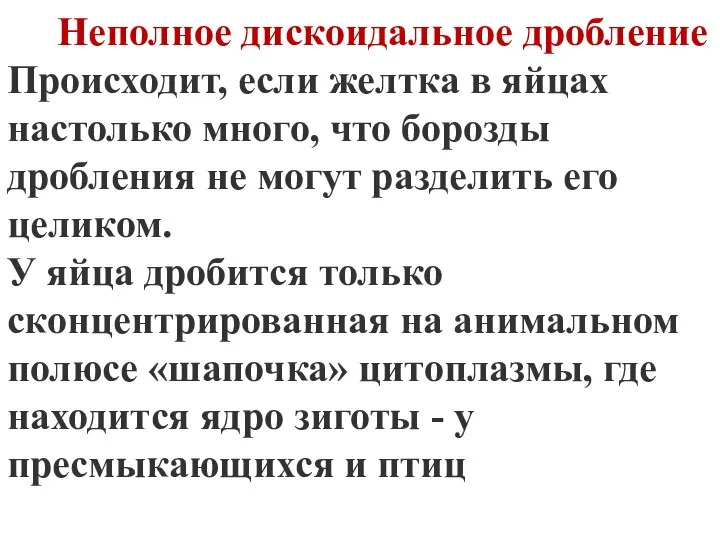 Неполное дискоидальное дробление Происходит, если желтка в яйцах настолько много, что борозды