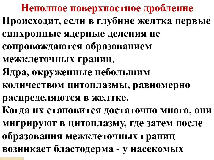 Неполное поверхностное дробление Происходит, если в глубине желтка первые синхронные ядерные деления