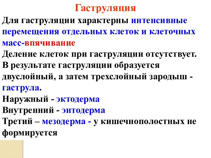 Гаструляция Для гаструляции характерны интенсивные перемещения отдельных клеток и клеточных масс-впячивание Деление