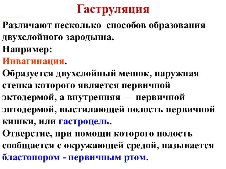 Гаструляция Различают несколько способов образования двухслойного зародыша. Например: Инвагинация. Образуется двухслойный мешок,