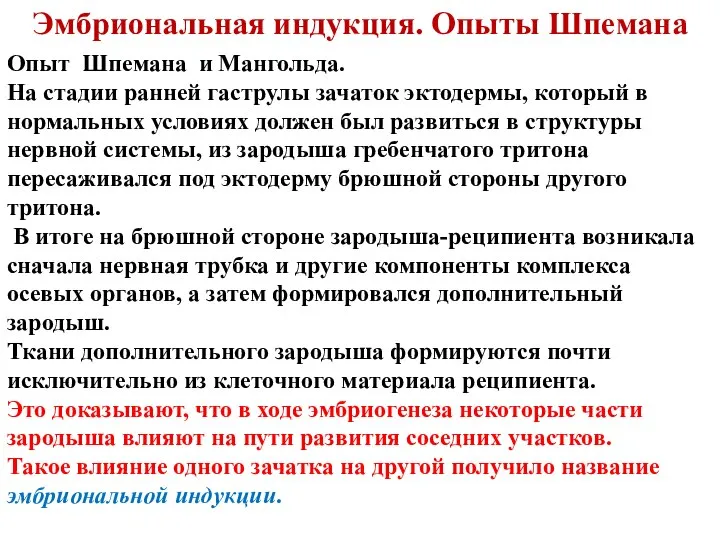 Эмбриональная индукция. Опыты Шпемана Опыт Шпемана и Мангольда. На стадии ранней гаструлы