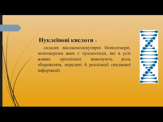 Нуклеїнові кислоти - складні високомолекулярні біополімери, мономерами яких є нуклеотиди, які в