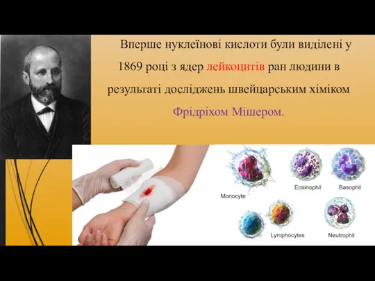 Вперше нуклеїнові кислоти були виділені у 1869 році з ядер лейкоцитів ран