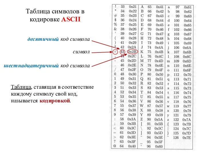 Учебная практика ИВТ I курс Таблица символов в кодировке ASCII символ десятичный