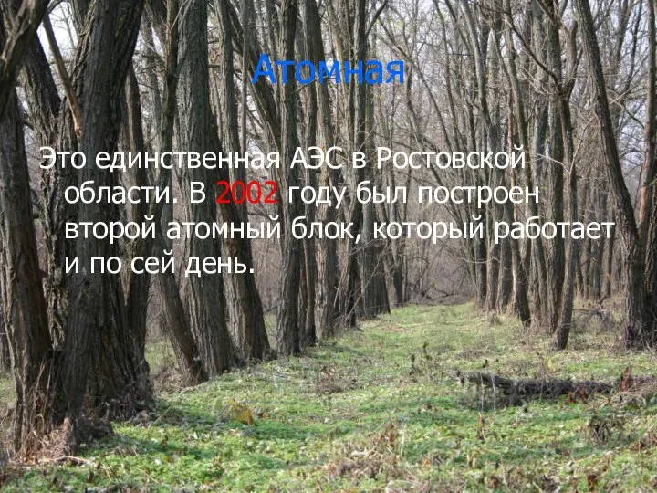 Атомная Это единственная АЭС в Ростовской области. В 2002 году был построен