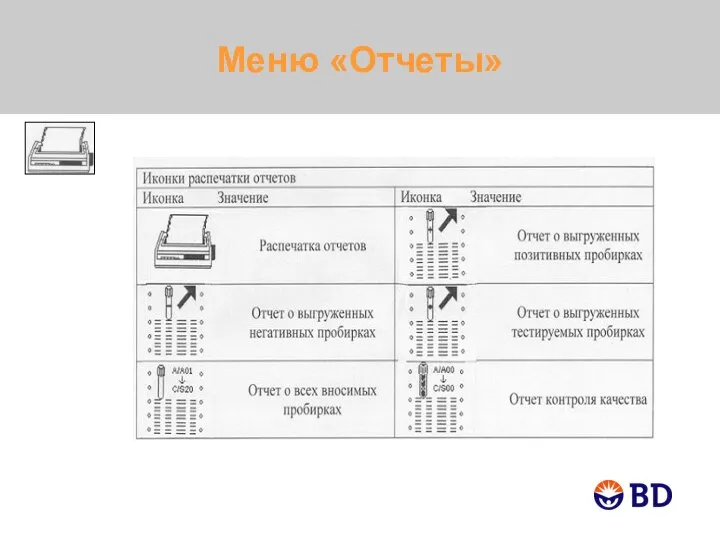 Меню «Отчеты»