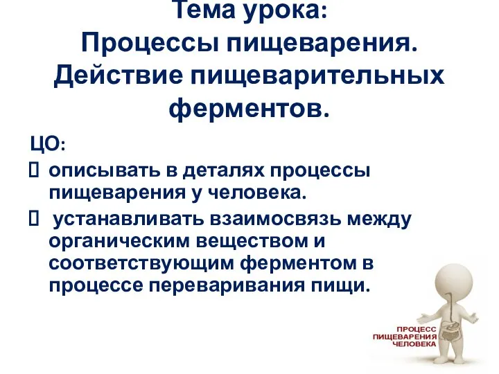 Тема урока: Процессы пищеварения. Действие пищеварительных ферментов. ЦО: описывать в деталях процессы