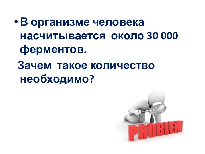 В организме человека насчитывается около 30 000 ферментов. Зачем такое количество необходимо?