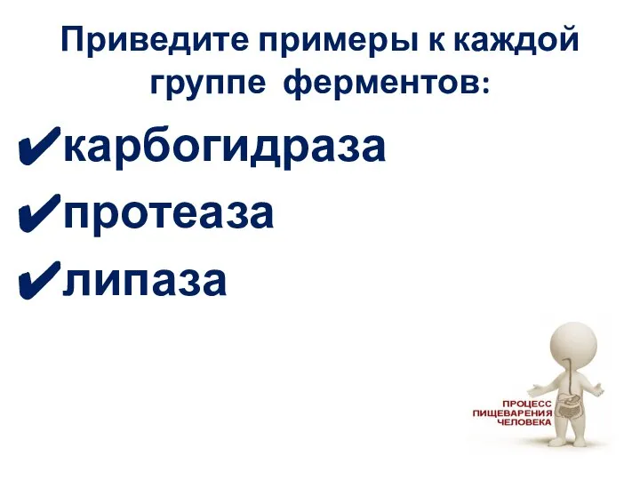 Приведите примеры к каждой группе ферментов: карбогидраза протеаза липаза