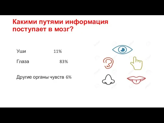 Какими путями информация поступает в мозг? Уши 11% Глаза 83% Другие органы чувств 6%