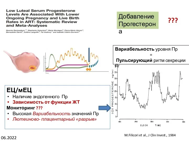 06.2022 ЕЦ/мЕЦ Наличие эндогенного Пр Зависимость от функции ЖТ Мониторинг ??? Высокая