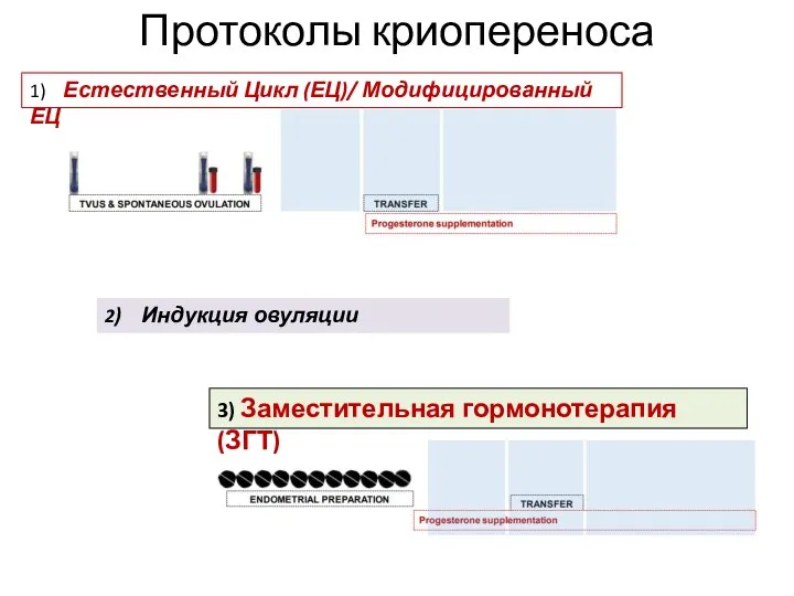 Протоколы криопереноса 2) Индукция овуляции 1) Естественный Цикл (ЕЦ)/ Модифицированный ЕЦ 3) Заместительная гормонотерапия (ЗГТ)